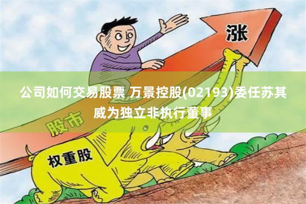 公司如何交易股票 万景控股(02193)委任苏其威为独立非执行董事