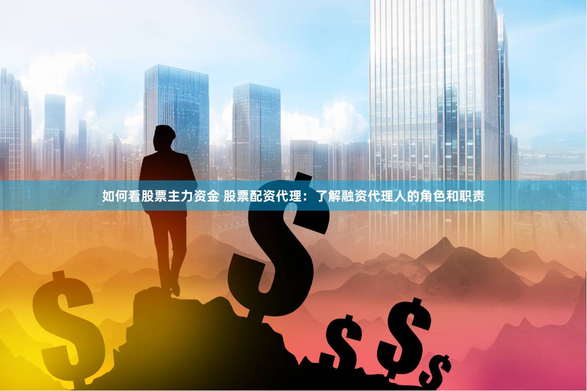 如何看股票主力资金 股票配资代理：了解融资代理人的角色和职责