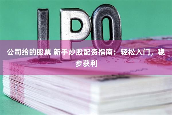 公司给的股票 新手炒股配资指南：轻松入门，稳步获利